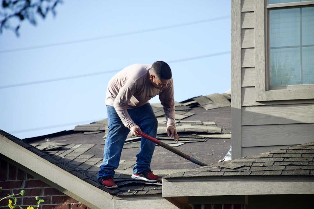 Photo roofing
